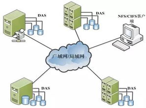 數(shù)據(jù)存儲(chǔ)基石 設(shè)備類型、系統(tǒng)架構(gòu)與服務(wù)支持全景解析